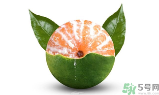 孕婦可以吃青桔子嗎？青桔子孕婦可以吃嗎？