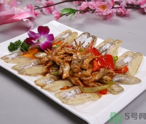 活蟶子怎么保存？蟶子可以放幾天？