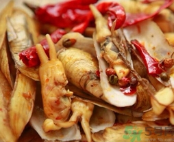 活蟶子怎么保存？蟶子可以放幾天？