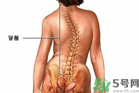 僵直性脊椎炎的癥狀有哪些？怎樣預(yù)防僵直性脊椎炎？