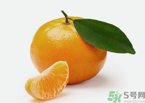 桔子怎么保存？青桔子怎么保存？