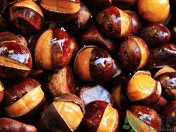 吃炒板栗會胖嗎？吃糖炒栗子會胖嗎？