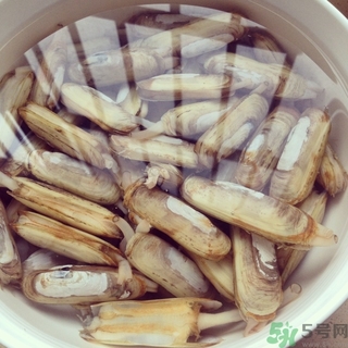 蟶子可以吃哪些部位？蟶子哪些部位不能吃？