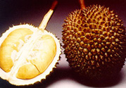 榴蓮肉怎么保存？榴蓮肉的保存方法