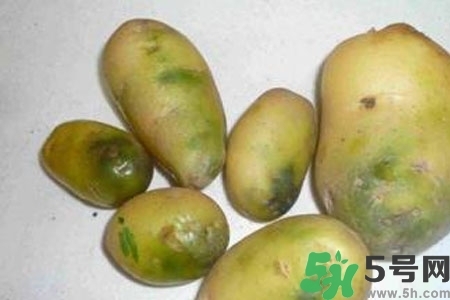 土豆發(fā)綠還能吃嗎？土豆發(fā)綠皮削皮后能吃嗎？