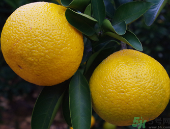 吃桔子有什么好處和壞處？桔子吃了有什么好處？