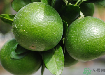 孕婦可以吃桔子嗎？孕婦能吃桔子嗎？