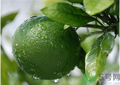 孕婦吃桔子好嗎？孕婦吃桔子有什么好處？