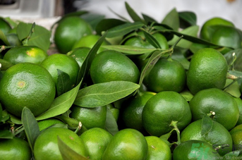 青桔子可以吃嗎？吃青桔子有好處嗎？