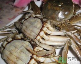河蟹可以冷凍嗎？活河蟹可以冷凍保存嗎？