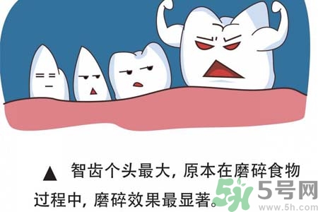 智齒拔完后有個(gè)洞怎么辦？拔智齒后有個(gè)洞多久能長好？