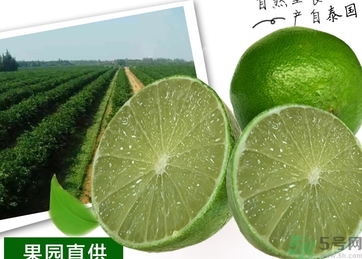 泰國檸檬怎么吃？泰國檸檬的功效作用