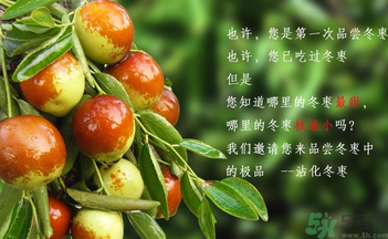 晚上吃棗子會(huì)胖嗎？晚上吃新鮮棗子會(huì)胖嗎？