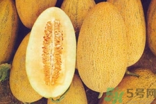 便秘可以吃哈密瓜嗎？哈密瓜可以治療便秘嗎？