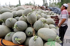 便秘可以吃哈密瓜嗎？哈密瓜可以治療便秘嗎？