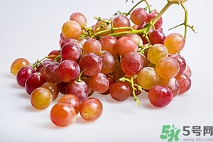 葡萄籽怎么吃效果最好？無籽葡萄對身體有害嗎？