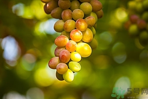 葡萄酒怎么做好喝？葡萄酒的功效與作用