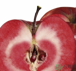 紅肉蘋果多少錢一斤？紅肉蘋果的功效作用