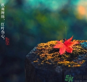 秋分做什么運(yùn)動好？秋分運(yùn)動注意事項