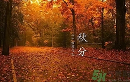 秋分做什么運(yùn)動好？秋分運(yùn)動注意事項