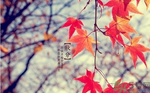 秋分做什么運(yùn)動好？秋分運(yùn)動注意事項