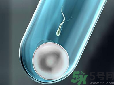 做試管嬰兒要多長(zhǎng)時(shí)間？做試管嬰兒可以選擇性別？