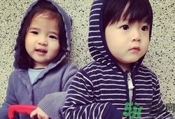 龍鳳胎是怎么形成的？試管嬰兒能做龍鳳胎嗎？