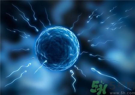 做試管嬰兒要多長(zhǎng)時(shí)間？做試管嬰兒可以選擇性別？