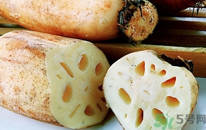 蓮藕可以放冰箱保存嗎?蓮藕能放冰箱保存多久?