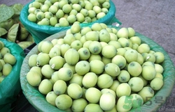 來(lái)例假能吃新鮮蓮子嗎?來(lái)月經(jīng)吃新鮮蓮子好嗎 來(lái)例假能吃新鮮蓮子嗎?來(lái)月經(jīng)吃新鮮蓮子好嗎