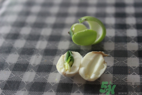 來(lái)例假能吃新鮮蓮子嗎?來(lái)月經(jīng)吃新鮮蓮子好嗎 來(lái)例假能吃新鮮蓮子嗎?來(lái)月經(jīng)吃新鮮蓮子好嗎