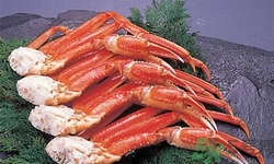 雪蟹怎么吃?雪蟹的營(yíng)養(yǎng)價(jià)值 雪蟹怎么吃?雪蟹的營(yíng)養(yǎng)價(jià)值