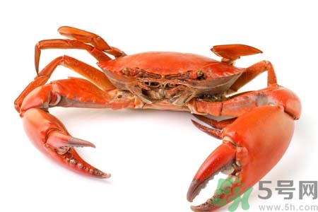 10月吃陽(yáng)澄湖大閘蟹好嗎？大閘蟹怎么做好吃？