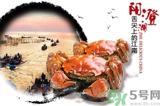 陽澄湖大閘蟹口感怎么樣？如何辨別真假陽澄湖大閘蟹？