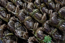 陽澄湖大閘蟹口感怎么樣？如何辨別真假陽澄湖大閘蟹？