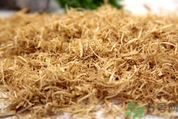 竹茹是什么東西?竹茹的功效與作用是什么 竹茹是什么東西?竹茹的功效與作用是什么