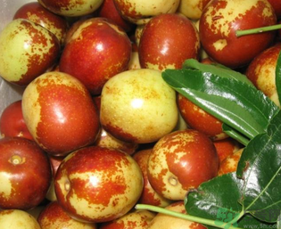 吃鮮棗的好處和壞處？吃鮮棗有什么好處？