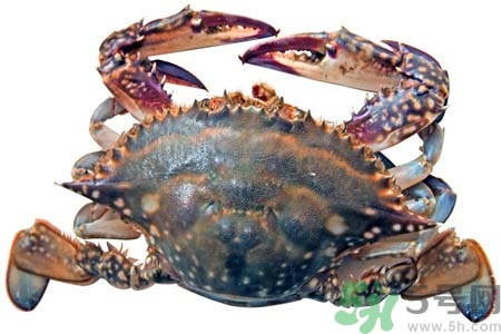 吃螃蟹后眼睛發(fā)暈怎么回事？吃螃蟹眼睛發(fā)暈怎么辦？