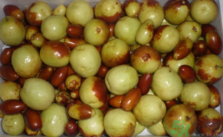 吃青棗子會胖嗎？青棗子吃多了會胖嗎？