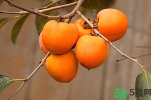 柿子和螃蟹一起吃有毒嗎？柿子不能和什么同食？