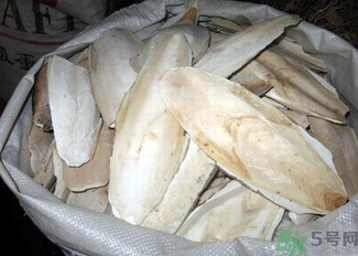 烏賊骨是什么?烏賊骨的功效與作用 烏賊骨是什么?烏賊骨的功效與作用