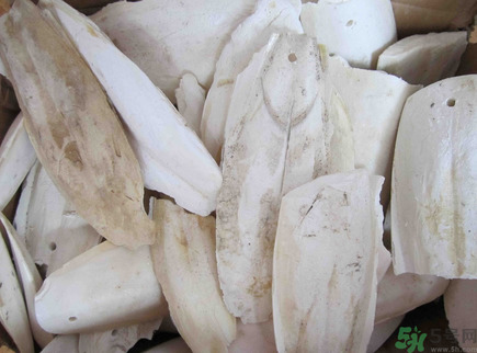 烏賊骨是什么?烏賊骨的功效與作用 烏賊骨是什么?烏賊骨的功效與作用