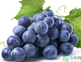 新鮮葡萄怎么保存？新鮮葡萄怎么保鮮？