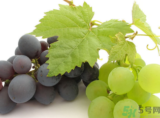 新鮮葡萄籽可以吃嗎？葡萄籽有什么作用？