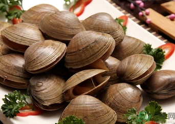 蜆子煮多長時間？蜆子怎么煮？