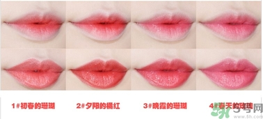 悅詩(shī)風(fēng)吟水韻凝采唇膏價(jià)格 悅詩(shī)風(fēng)吟水韻凝采唇膏怎么用？