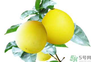 柚子一天最多吃多少？柚子一次吃多少合適？