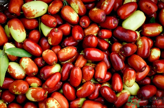 新鮮紅棗補血嗎？吃新鮮紅棗補血嗎？