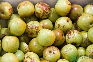 糖精冬棗怎么辨認？糖精棗的鑒別方法