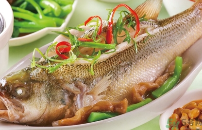 鱸魚是發(fā)物嗎？手術(shù)后可以吃鱸魚嗎？